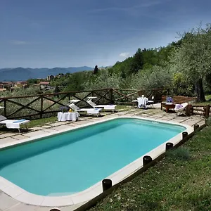 Belli - Luxury With Saltwater Swimmingpool Villa